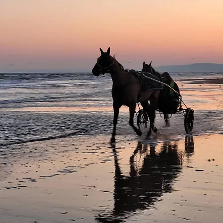Appartamento Lumineux Avec Balcons Et Stationnement Privatif - Fr-1-788-22 *