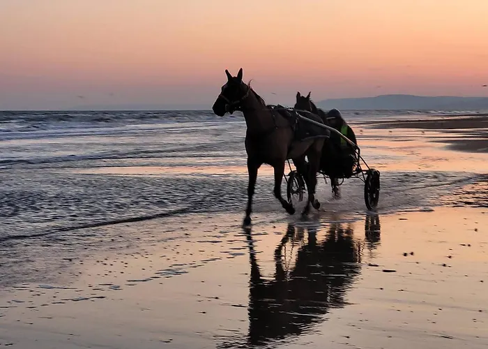Appartamento Lumineux Avec Balcons Et Stationnement Privatif - Fr-1-788-22 *